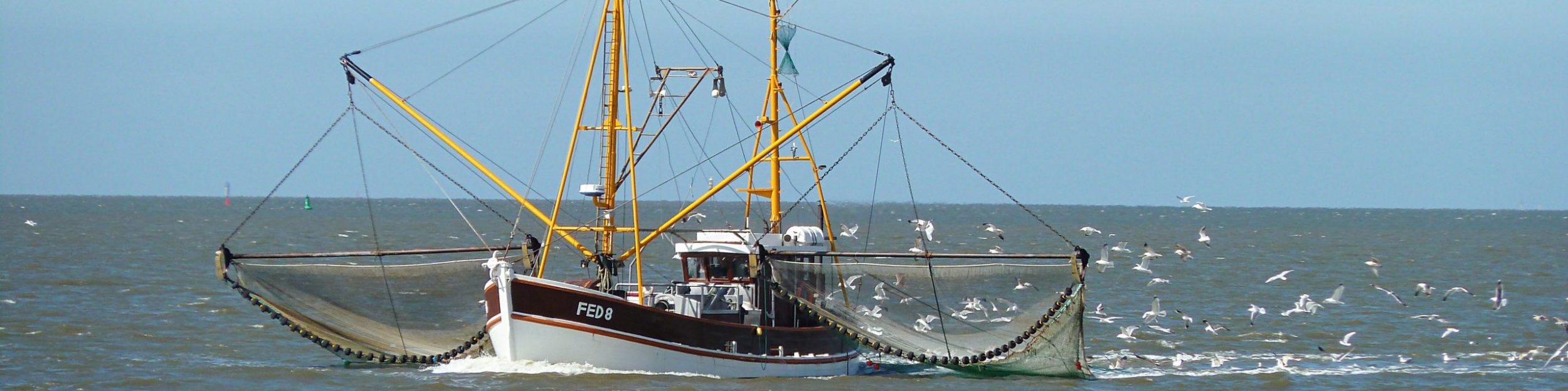 Sundernauten