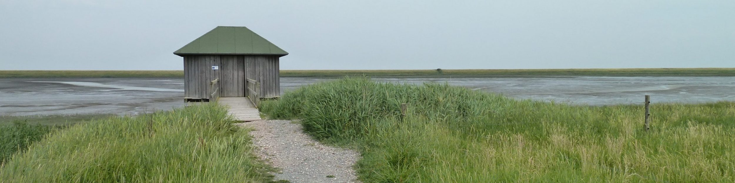 Sundernauten